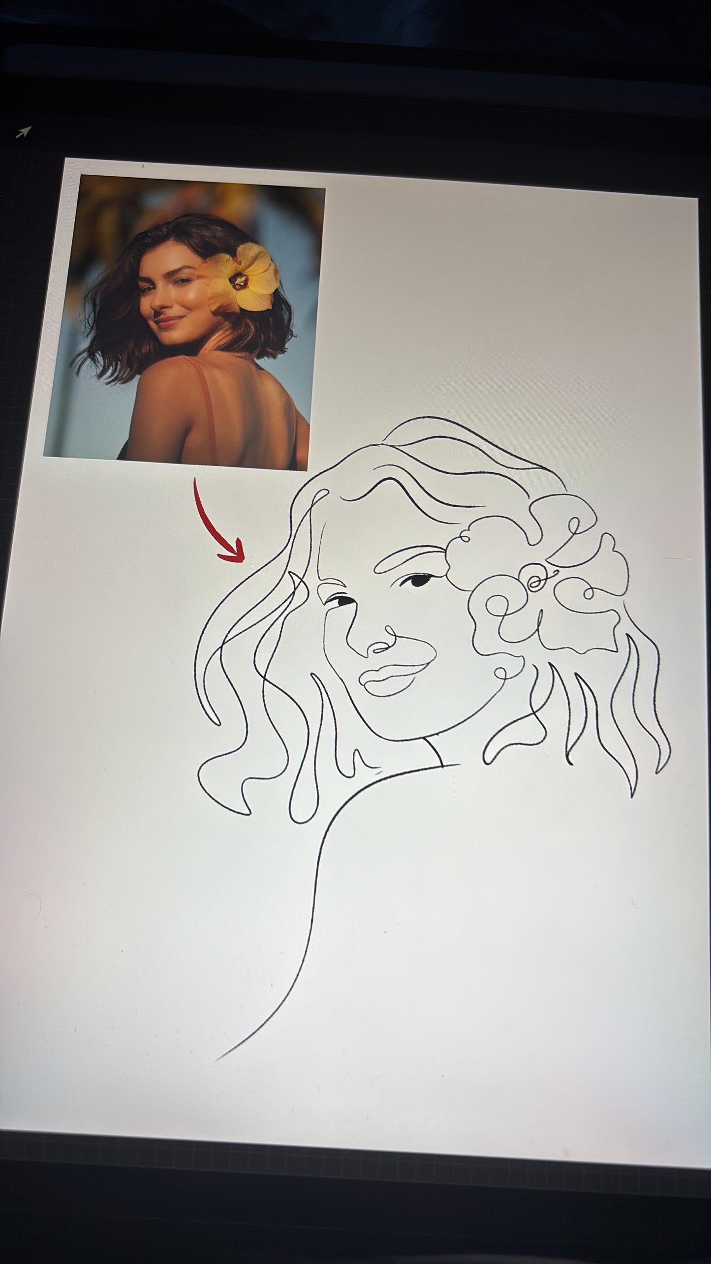 Dalla foto al disegno in vettoriale