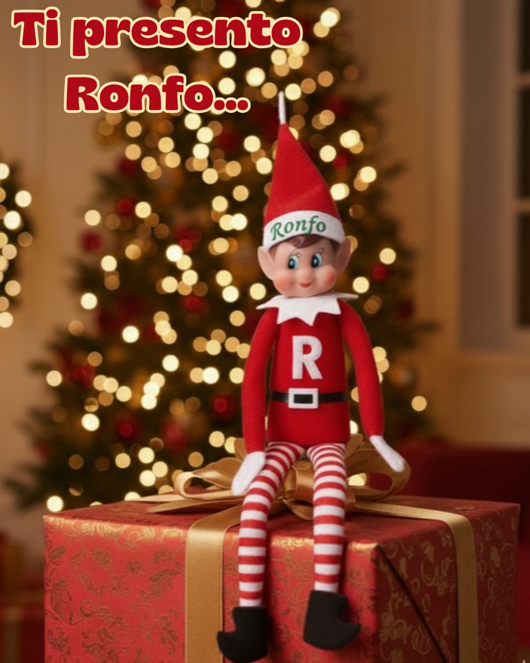 Elfo di babbo Natale personalizzato