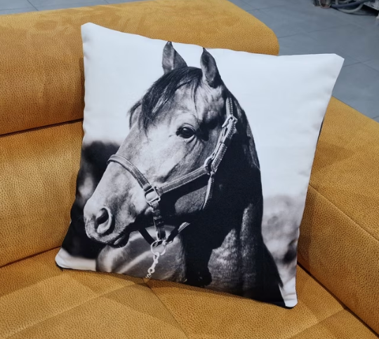 Cuscino Personalizzato con Foto e Testo - Completo di Imbottitura - 40x40 cm - forma quadrata o a cuore