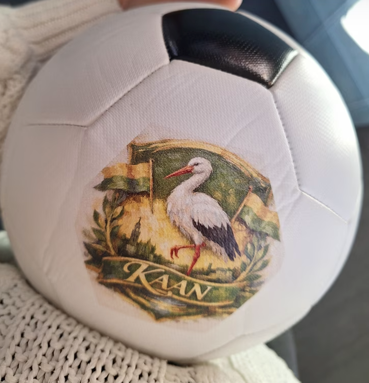 Pallone da Calcio Personalizzato con Foto e Scritte – Stampa UV Alta Qualità (Disponibile in 2 Misure)