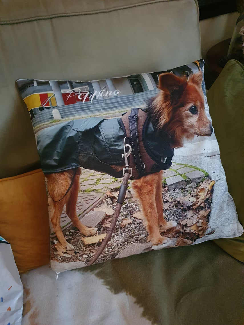 Cuscino Personalizzato con Foto e Testo - Completo di Imbottitura - 40x40 cm - forma quadrata o a cuore